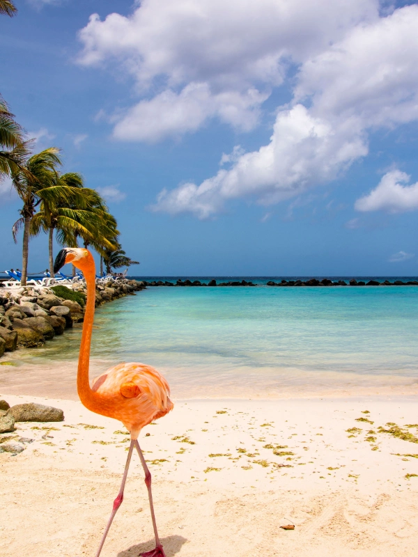 eSIM Aruba