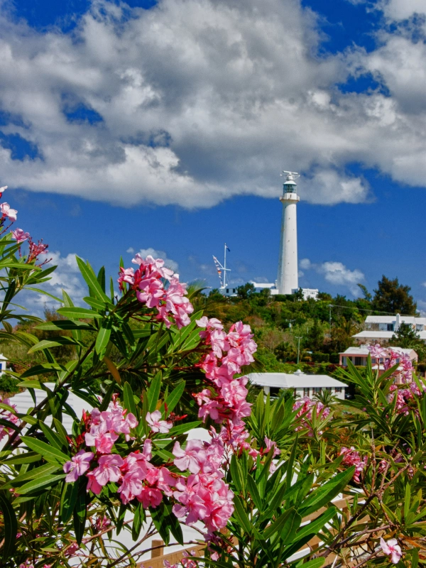 eSIM Bermuda