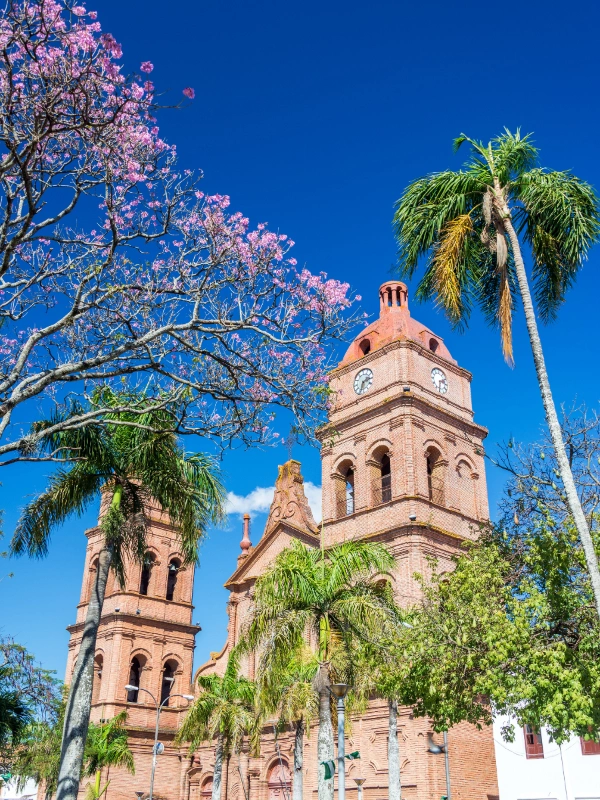 eSIM Bolivia