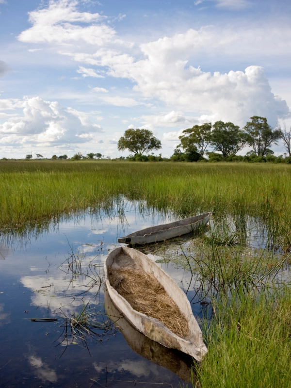 eSIM Botswana