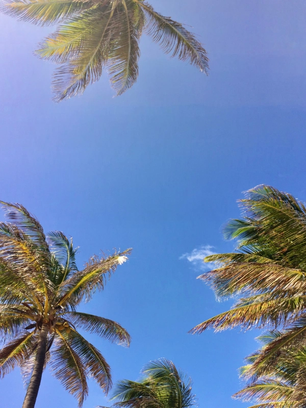 eSIM Guadeloupe