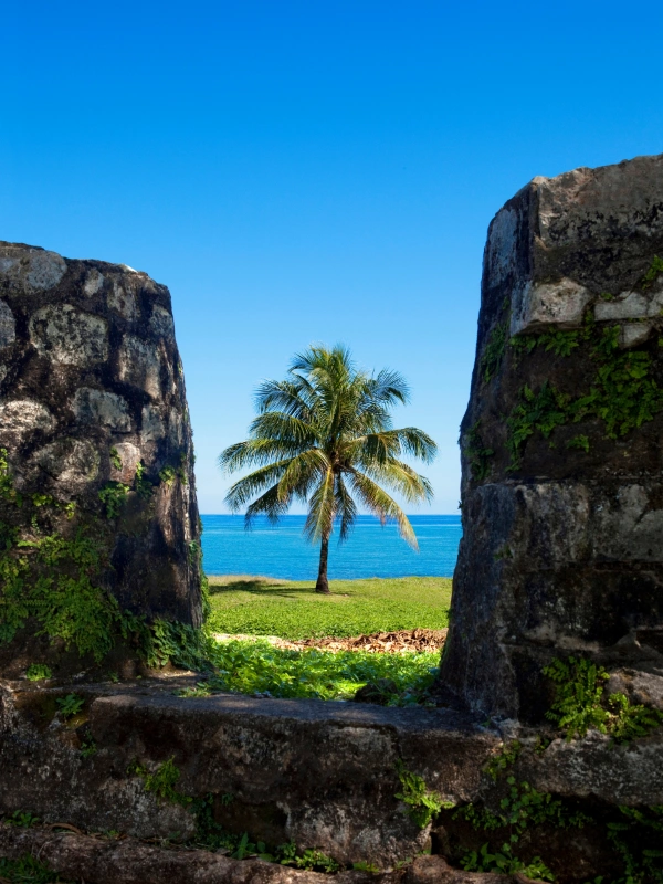 eSIM Jamaica