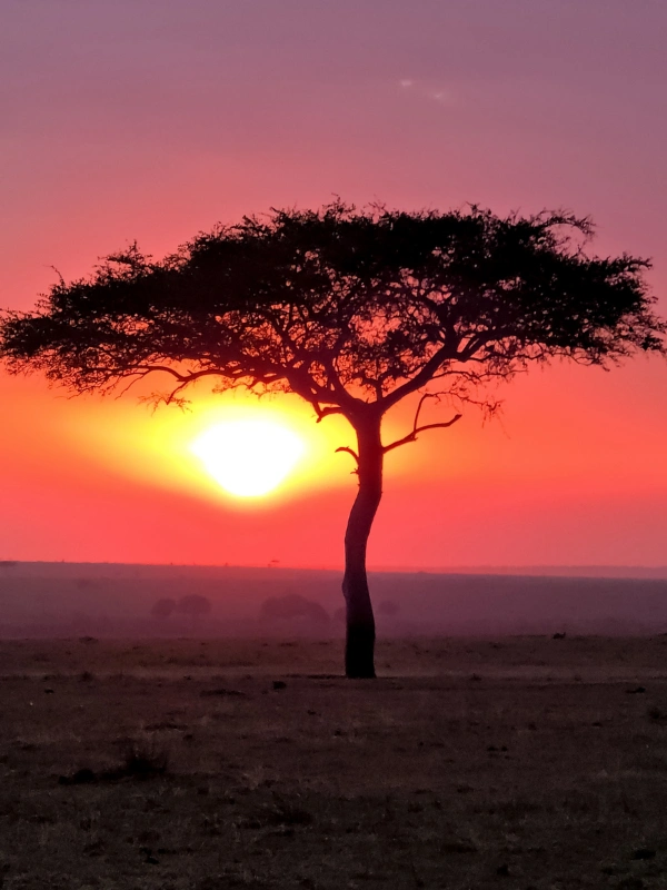 eSIM Kenya