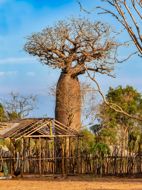 eSIM Madagascar