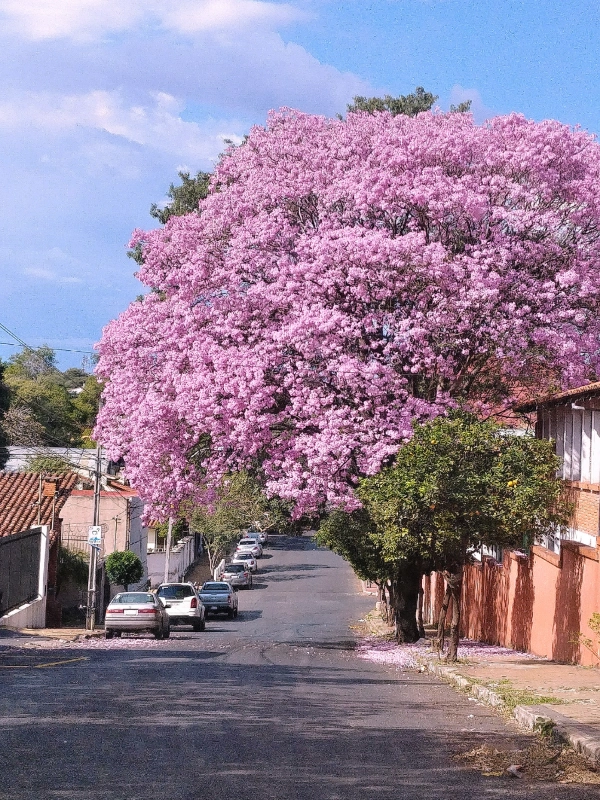 eSIM Paraguay