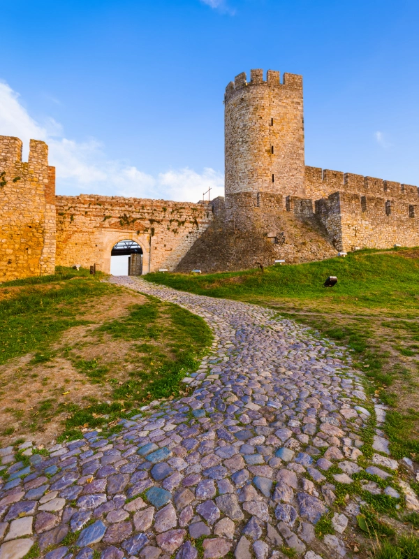 eSIM Serbia