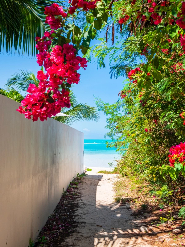 eSIM Turks và Caicos