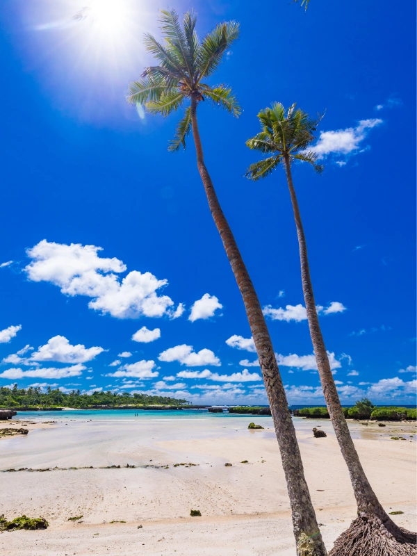 eSIM Vanuatu